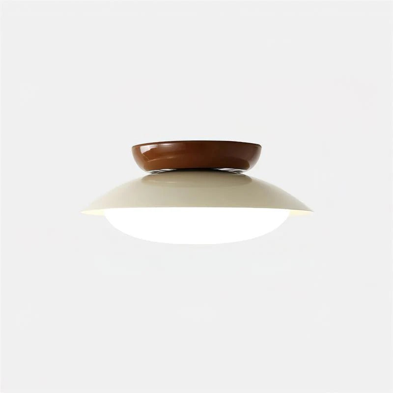 Lámpara de techo moderna Liam con pantalla de cúpula esmerilada sku1.webp__PID:199b02be-fb38-436e-91ad-e79015118cdb