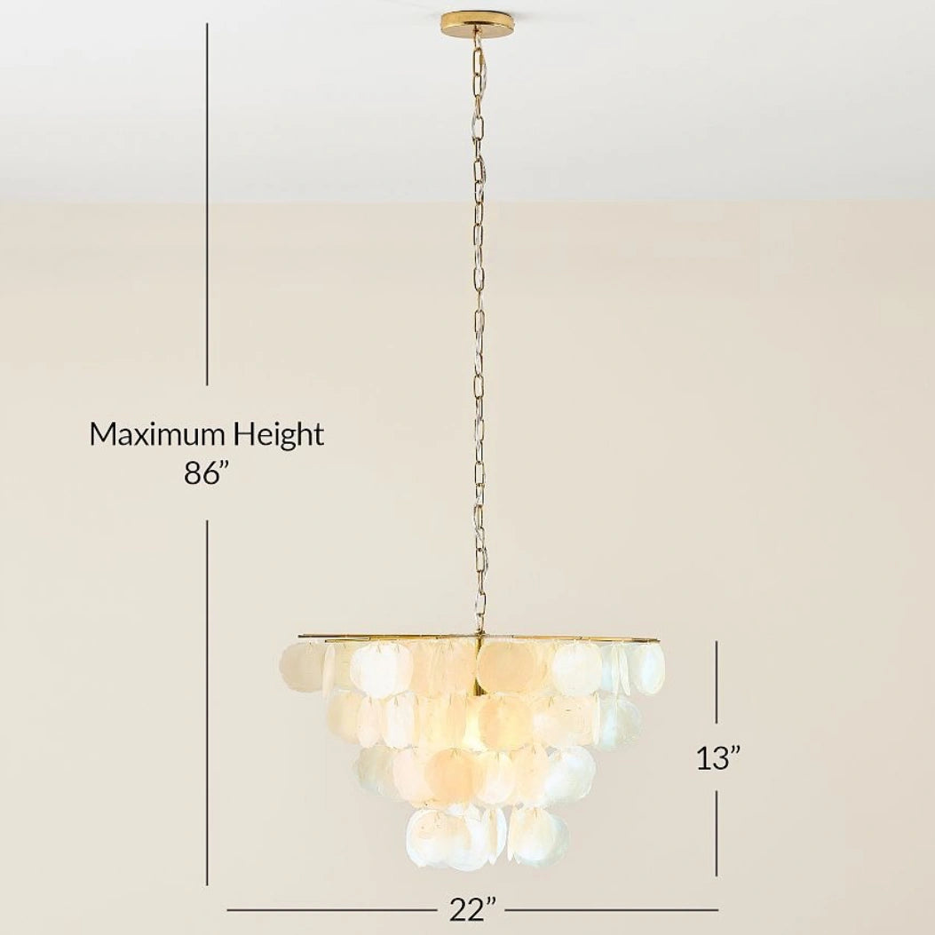 Leslie Luxury Natural Shell Metal Chandelier size.webp__PID:2bcaa7ce-8375-4113-8923-b7021905fb33